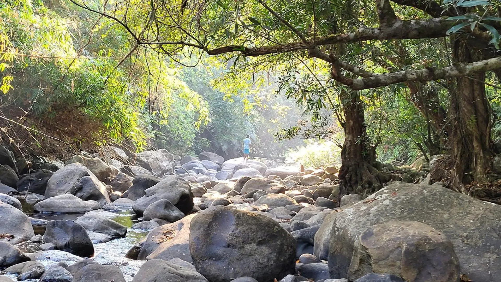 Bed & Breakfast Paithal Mount Resort Paithalmala