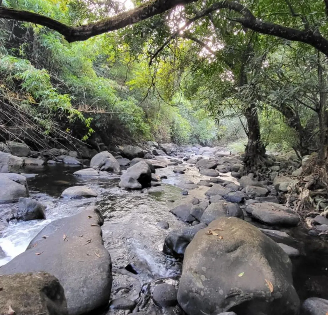 Paithal Mount Resort Paithalmala