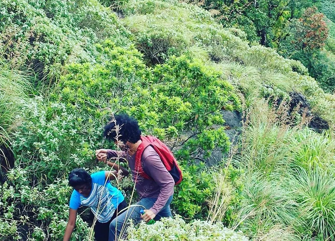 Paithal Mount Resort Paithalmala 0*,  Indie