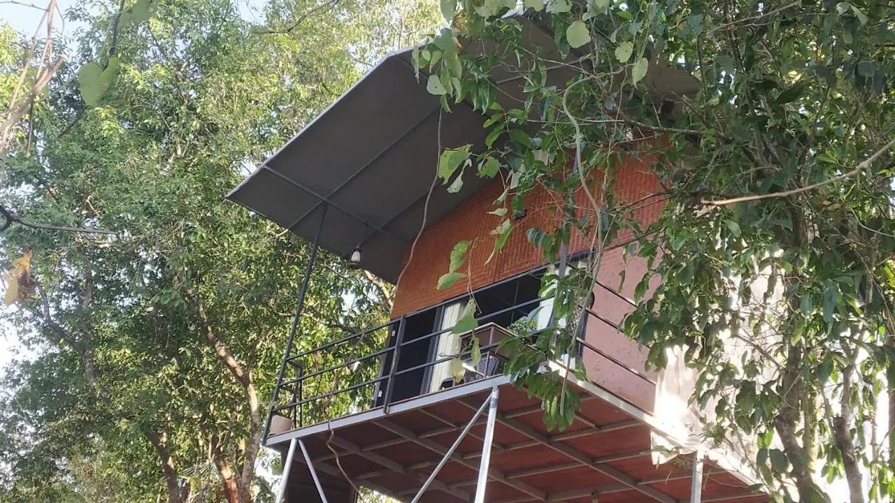 Bed and Breakfast Paithal Mount Resort Paithalmala